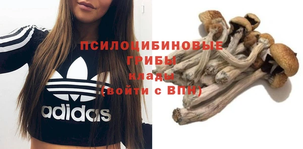 Альфа ПВП Лагань
