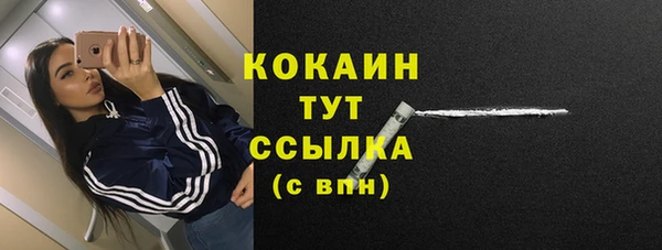 тгк Ладушкин