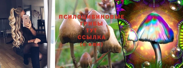 тгк Ладушкин