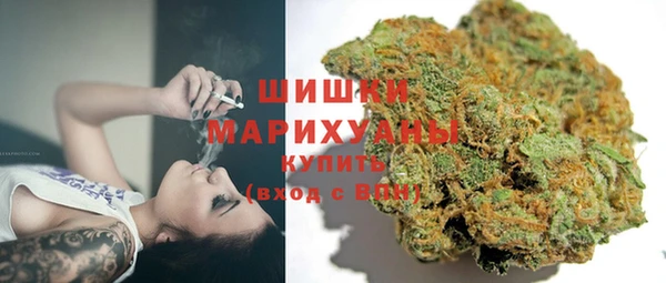 тгк Ладушкин
